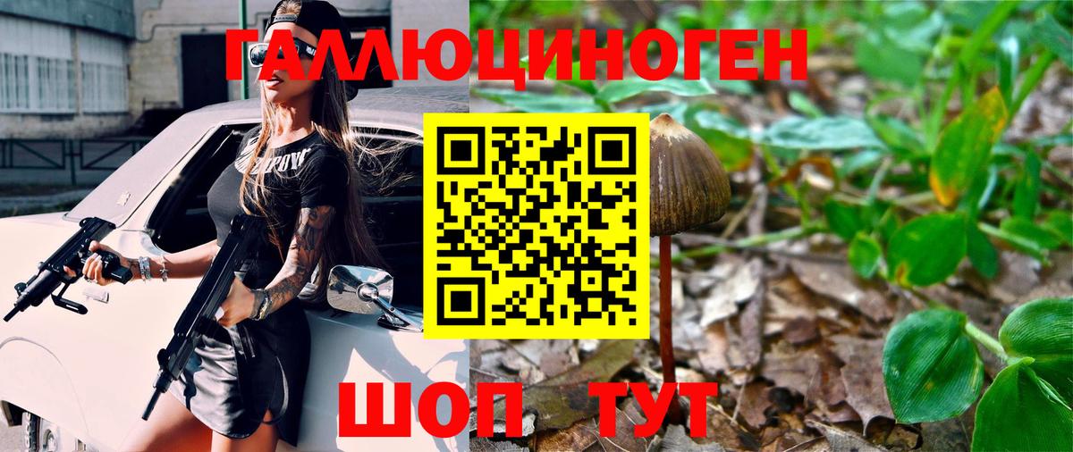 МЕФ кристаллы  Экстази  MDMA  Канабис  Магазин наркотиков  ТГК  Щёлково  ГАШ  Вход с VPN 